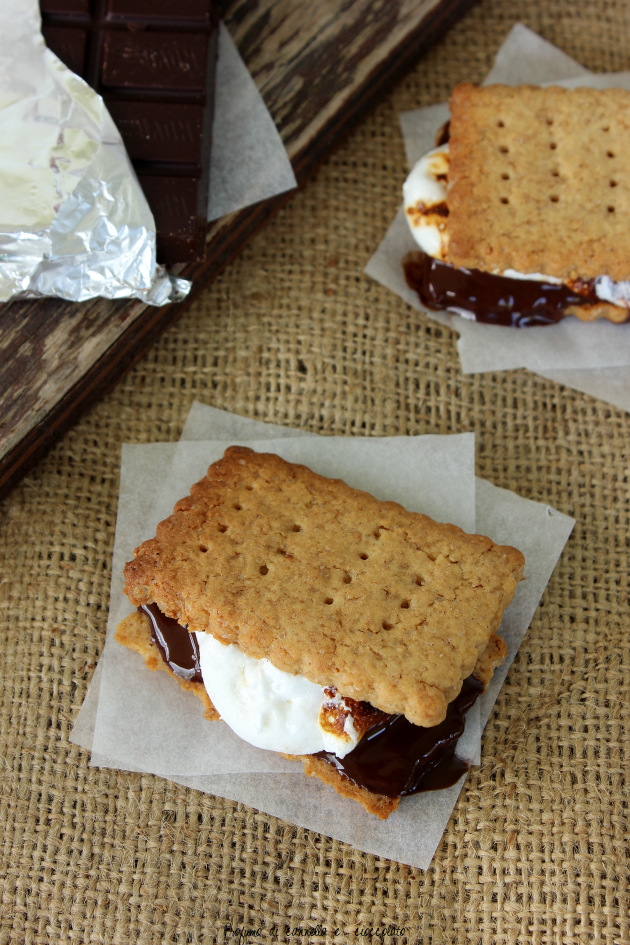 s'mores 4