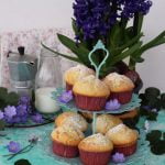 Muffin semplici alla vaniglia