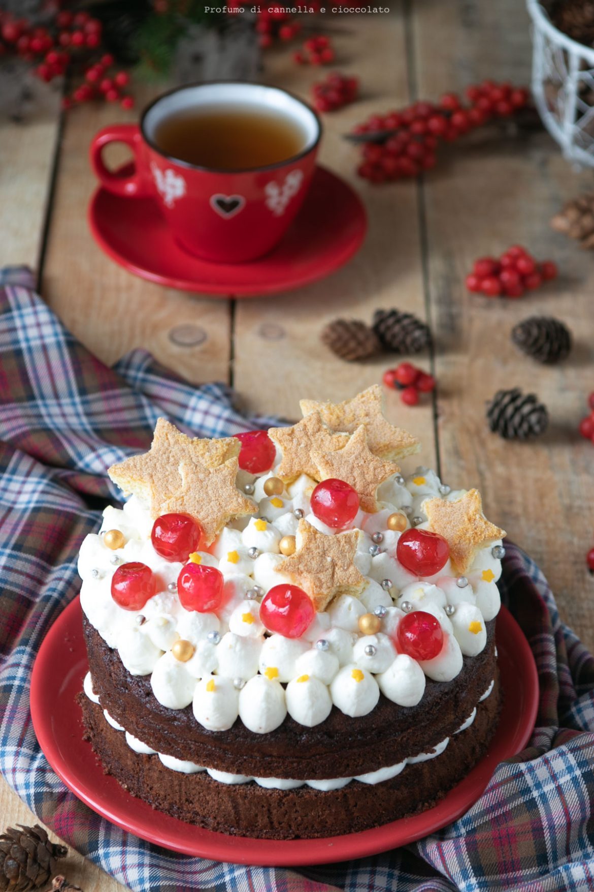 Torta al cacao con crema allo yogurt | Profumo di Cannella e Cioccolato