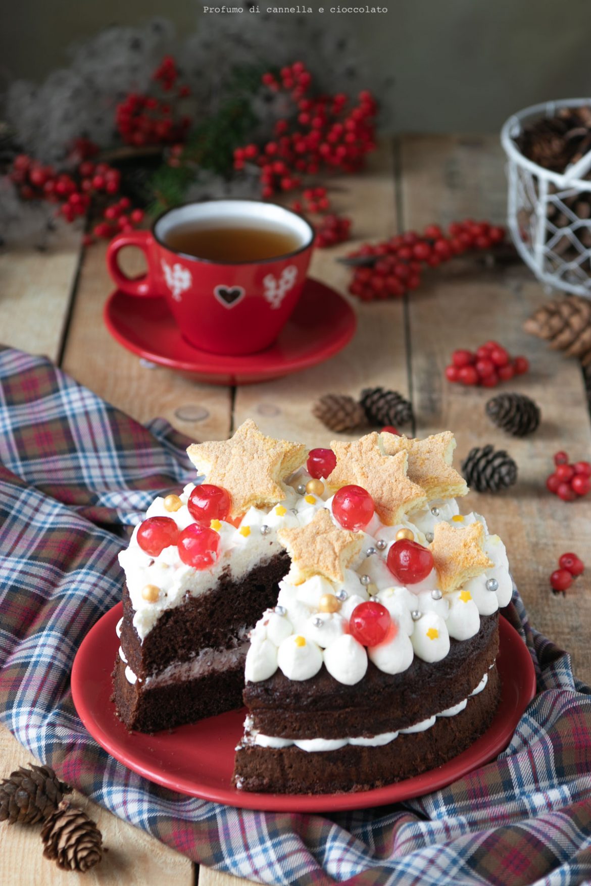 Torta al cacao con crema allo yogurt | Profumo di Cannella e Cioccolato
